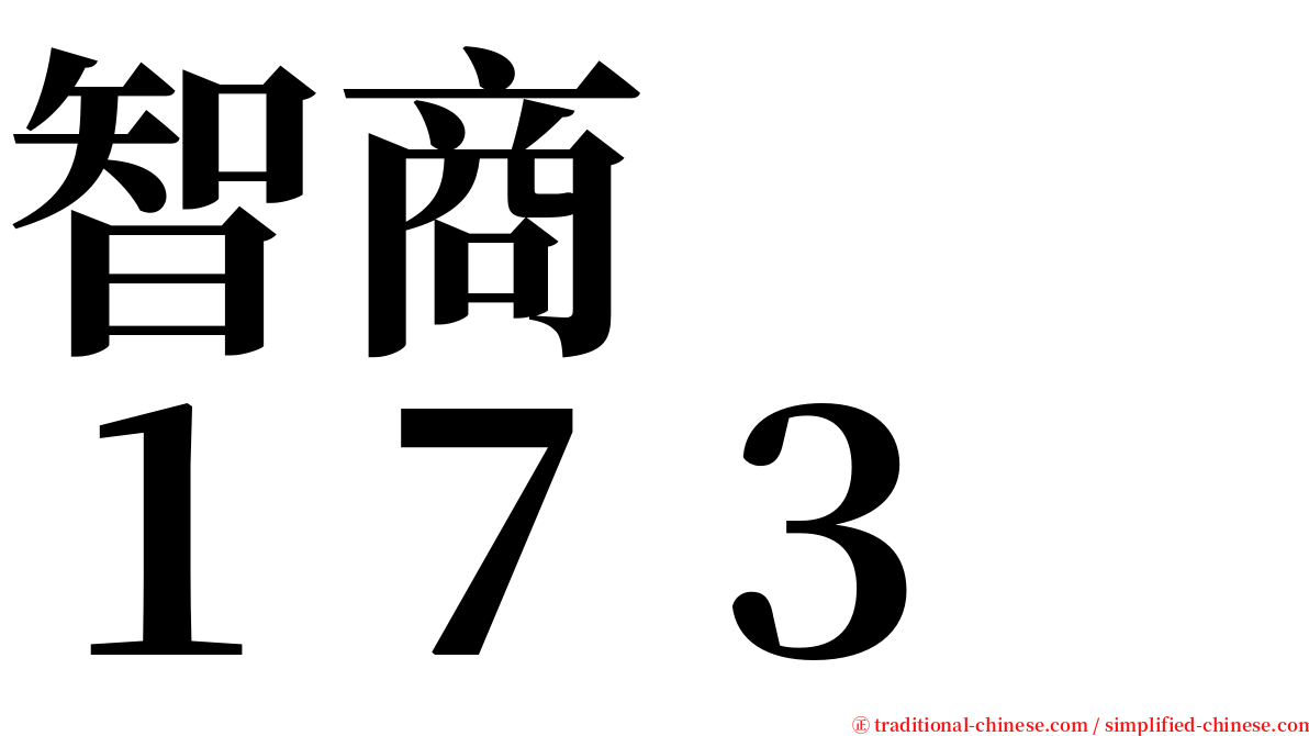 智商　　１７３ serif font